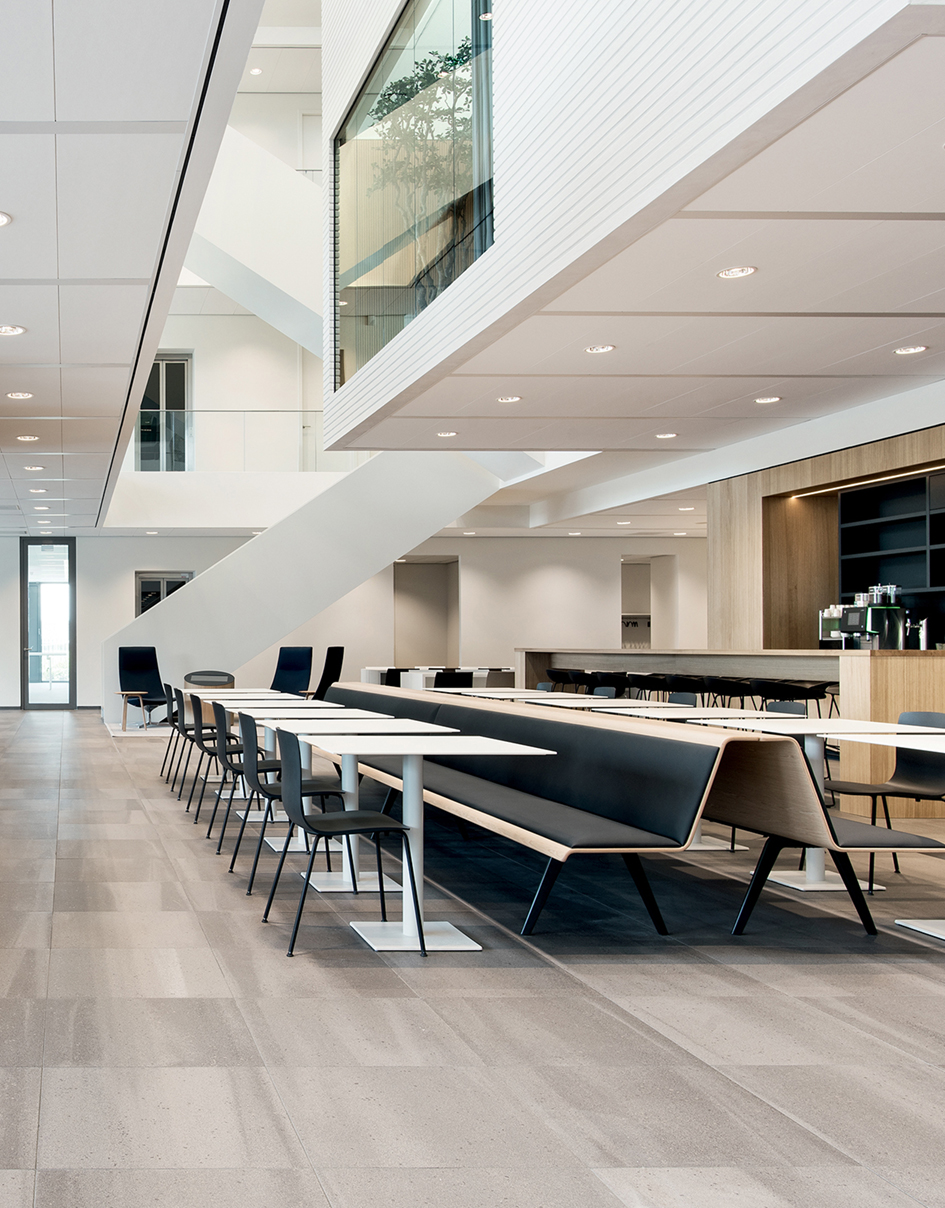 创意安博网页版 - 坐具|餐椅|办公安博网页版|安博anbo（中国）安博网页版|Catifa 46 餐椅